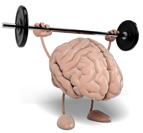 Brain Training